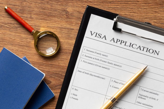 Visa Application Process